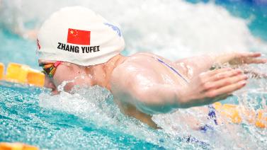 表现分析 表现分析