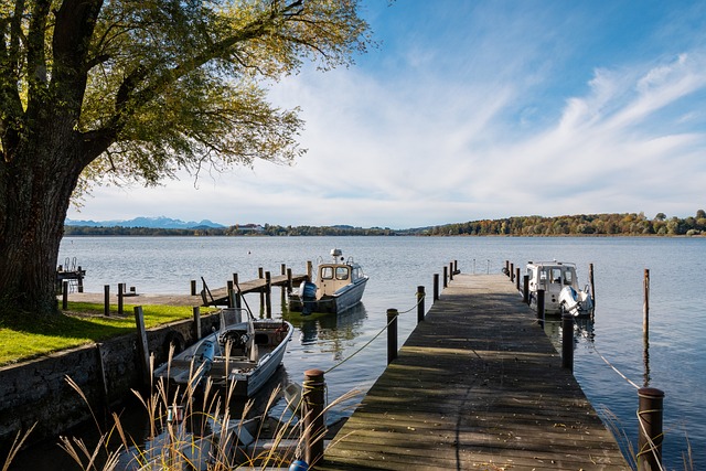 中国羽毛球 中国羽毛球