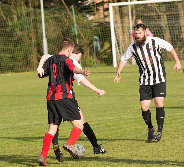 能再創佳績 能再創佳績