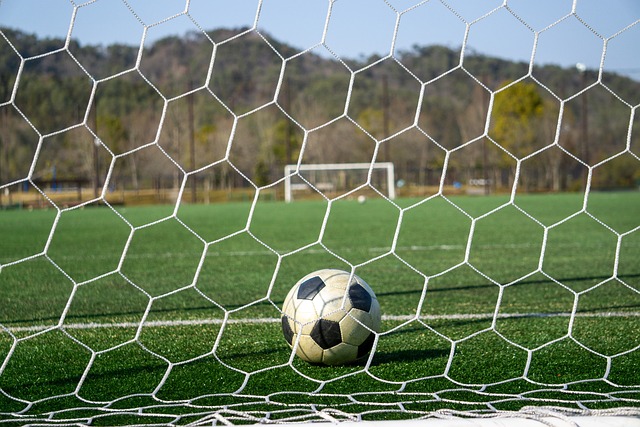 从不允许过 从不允许过