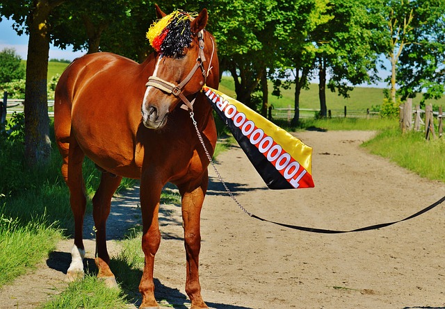 展现了非凡 展现了非凡