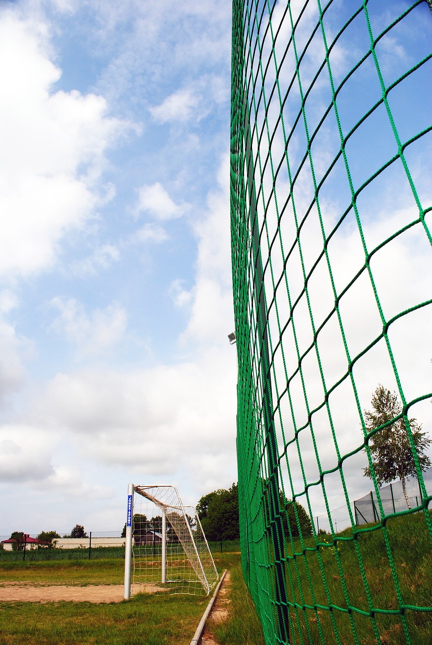 队的支持 队的支持