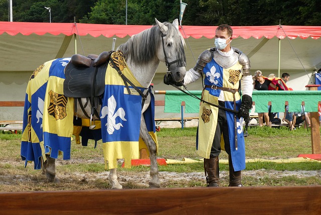 凡的竞技表 凡的竞技表