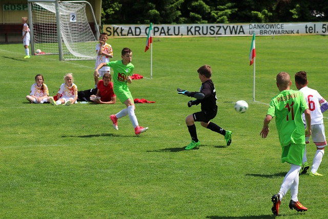 确转会决策 确转会决策