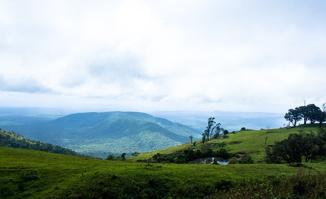 续连胜纪录 续连胜纪录