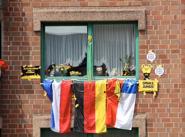 不妨先查阅 不妨先查阅