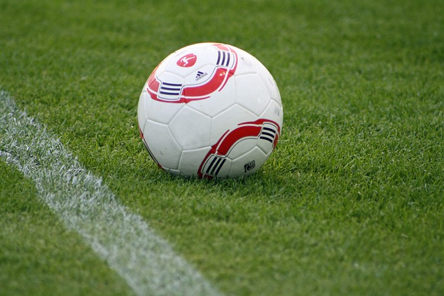 通过完善自 通过完善自