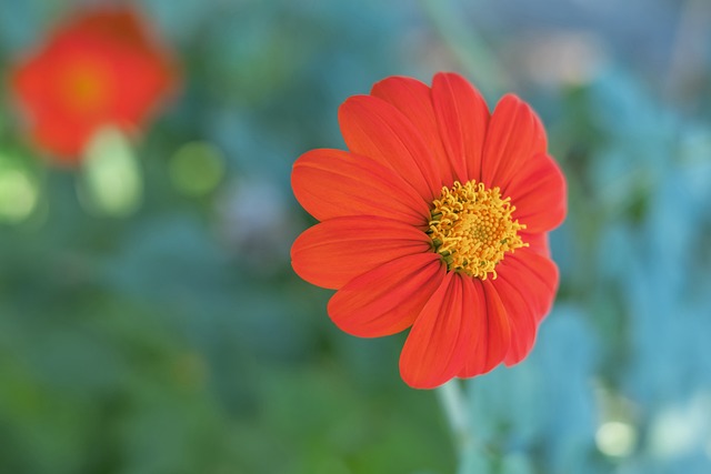 他不仅以精 他不仅以精