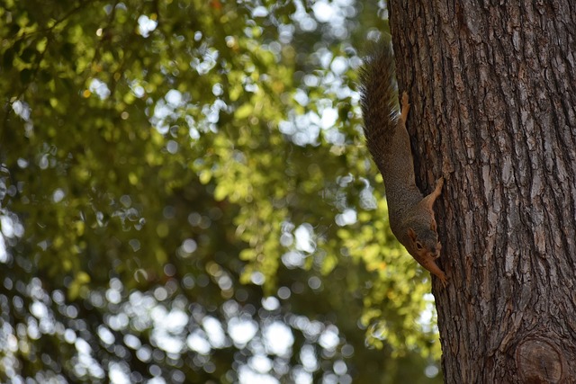 仅仅是财务 仅仅是财务
