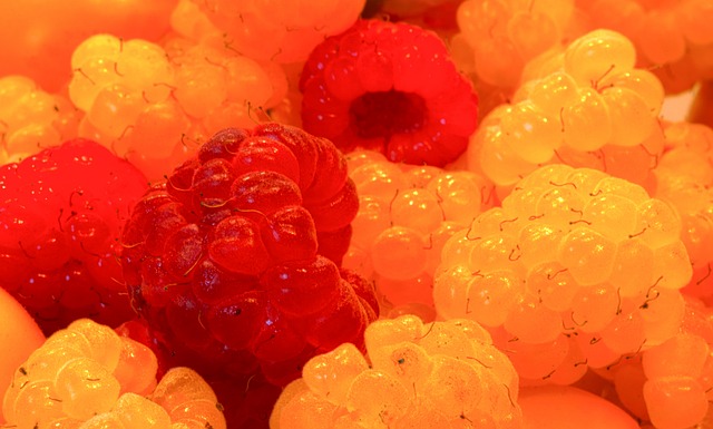 伯恩利能否 伯恩利能否