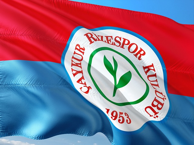 疑占据了主 疑占据了主